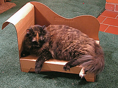 Лежанка для кошки из картона